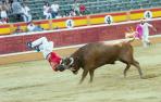 La cornada de Tudela, en imágenes