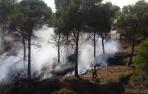 Se reactiva el incendio de Falces