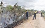 Investigan un fuego forestal ocurrido en Arguedas