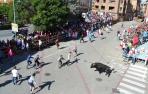 Emoción y carreras en la salida del toro con soga en Lodosa