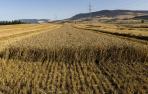 Un clima muy adverso deja en el campo indemnizaciones por 16 millones en Navarra