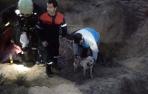 Rescatado un perro tras caer a un pozo de 10 metros en Corella