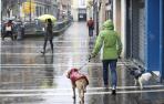 Los veterinarios abogan por censar con ADN a los perros de toda Navarra