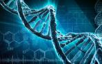 ​Usan ADN para fabricar el termómetro más pequeño del mundo