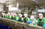 Nuevo récord de exportación de la agroindustria en Navarra: 1.086 millones en 2017