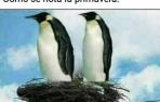 Memes sobre las lluvias torrenciales en Navarra en abril de 2018