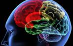 Las emociones que procesa el cerebro de forma inconsciente influyen al tomar decisiones