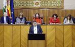 Intervención del líder de Vox en Andalucía, Francisco Serrano, en el Parlamento de Andalucía.