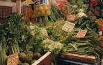 La verdura es uno de los pilares de  una dieta saludable. Estos días su precio se ha visto alterado por las heladas.