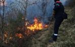 El Gobierno foral solicita apoyo aéreo al Gobierno central para extinguir un incendio en Goizueta