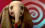 Dumbo llega a Pamplona