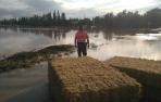 Fotos de las inundaciones en Olite y Tafalla. POLICÍA FORAL