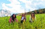 Imagen promocional de La Reina Flower.