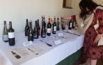 Bodegas participantes en la Feria del Vino Ecológico en Navarra