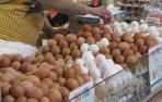 El precio de los huevos se encarece por la escasez de producto en Europa