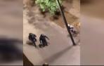 Segunda noche sin incidentes graves en las calles de Barcelona
