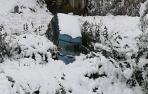 La nieve llega a Navarra
