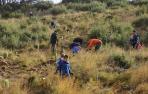 Los vecinos de Artajona trabajan juntos para repoblar sus montes