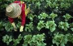 Mujeres rurales: "Vivir y trabajar en el medio rural no puede ser cosa de heroínas"