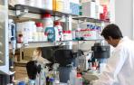 El CNTA destina más de 2,5 millones a proyectos de investigación