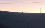 La vaca, en los campos cercanos a Salinas.