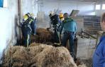 Bomberos y guardia civil colaboran para extinguir el fuego.