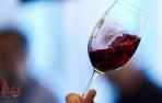 Las DO Navarra y Rioja se unen a un brindis colectivo por la calidad