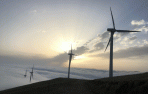 Iberdrola apuesta por las renovables