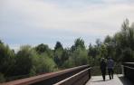 Cierzo y temperaturas suaves para el fin de semana en Navarra
