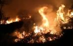 Un incendio quema cinco hectáreas de matorral en Narbarte
