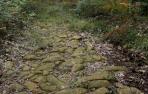 Cuatro ayuntamientos de Sakana se unen para revitalizar una calzada medieval