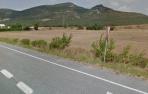Una persona herida en dos accidentes con jabalíes en Valtierra y Unzué