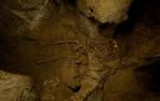 El 'hombre de Loizu', con más de 11.700 años, es el cuerpo humano completo más antiguo hallado en Navarra