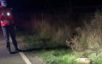 Policía Foral atiende tres accidentes con animales en menos de media hora