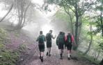 camino de santiago