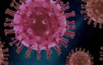 Virus covid-19