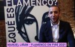 ¿Qué es el flamenco según Manuel Liñán?