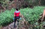 Policía Foral, en el lugar del suceso