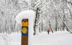Camino invernal de Santiago