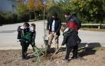 Varios niños, durante la jornada de plantación de árboles