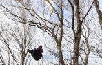 Parapente