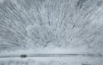 nieve seguro