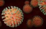 CSIC identifica un tipo de vidrio y una arcilla capaz de reducir la infectividad viral más del 99% en diez minutos