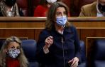 La ministra de Transición Ecológica, Teresa Ribera, interviene en el pleno