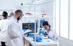 Laboratorio
