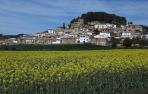 Vista general de la localidad de Eslava en una mañana primaveral en la que florecen los cultivos
