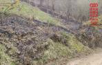 Incendio en Malerreka