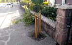 Destrozan árboles recién plantados en Elizondo