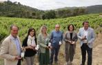 grupo bornos