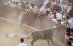 Un joven quedó tendido en el ruedo tras ser volteado por la vaquilla el sábado en Estella